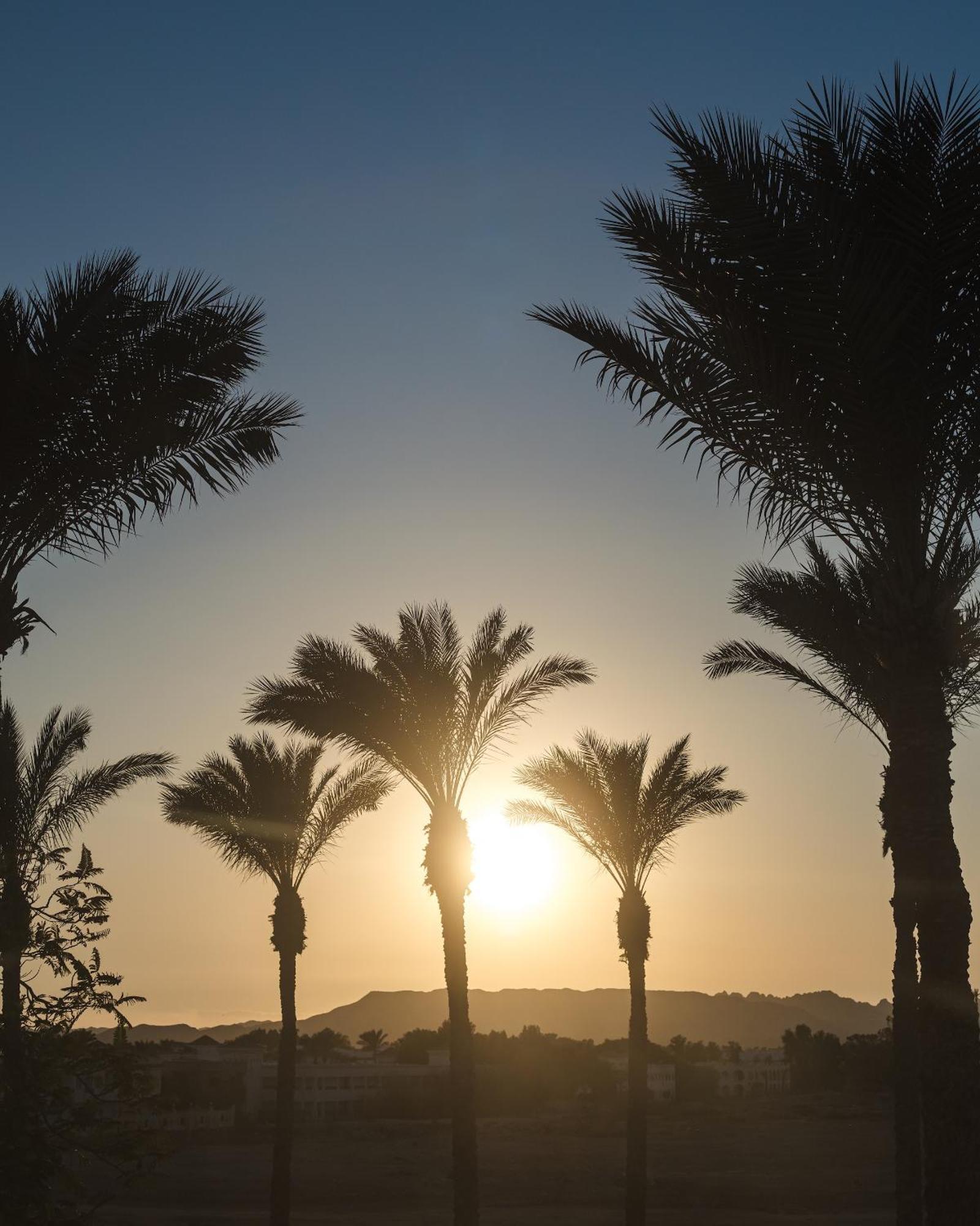 The Grand Hotel Sharm El Sheikh Dış mekan fotoğraf